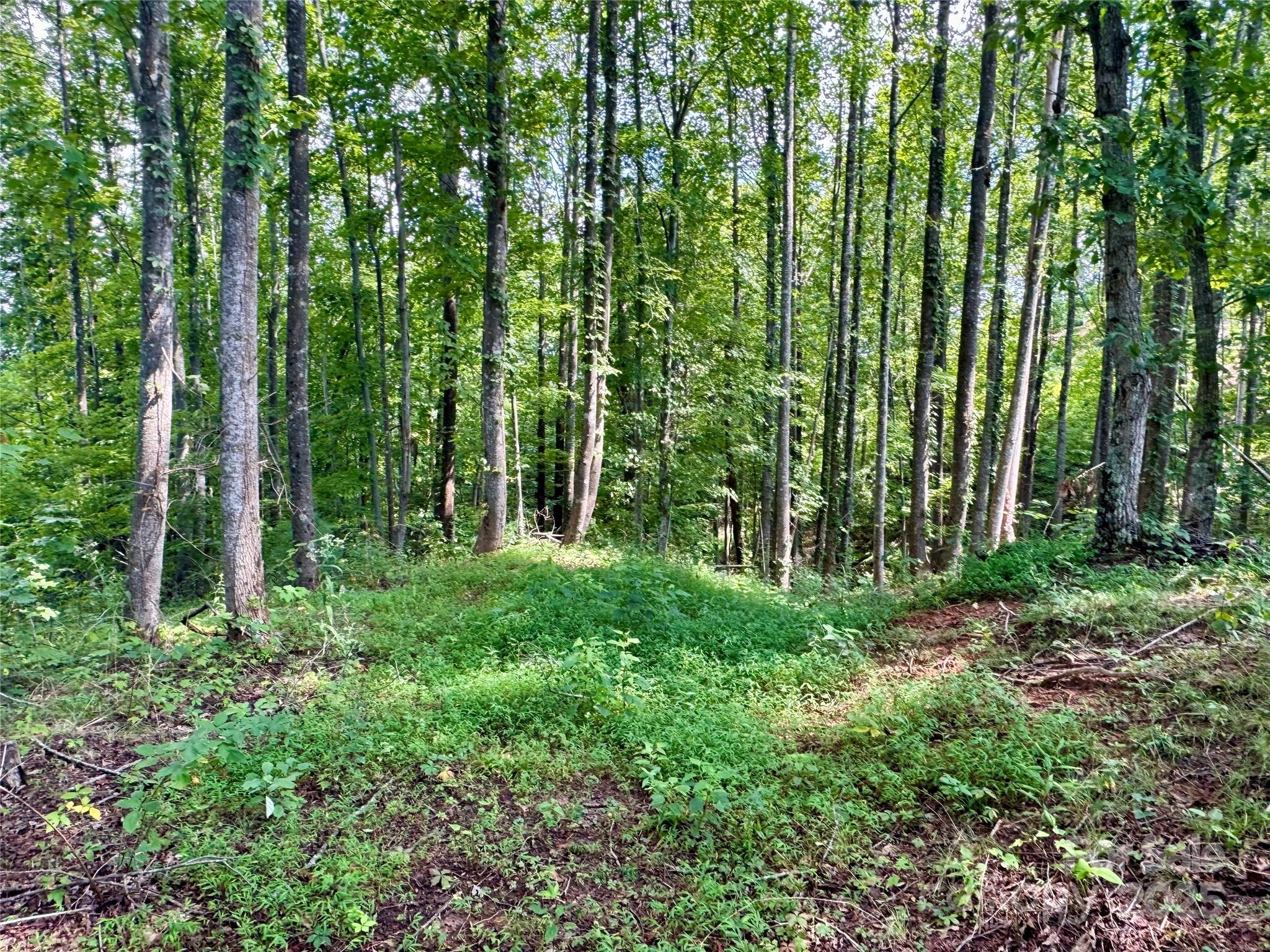 2.01 acres, Lot 971 Soaring Top Lane 971
