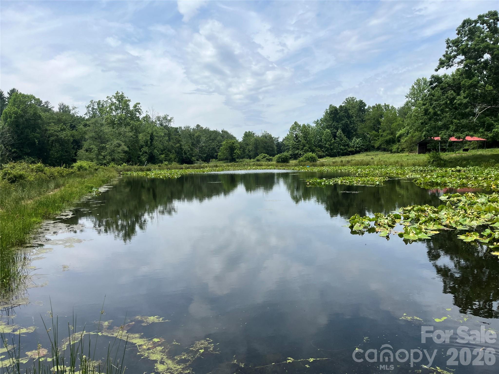Family Owned Farm for almost 200 years! Level pasture with 1.5 acre pond, year round Pinner Creek, NOT IN FLOOD ZONE. 15 acres +- of pasture, elevated homesite with views overlooking pasture and pond, ideal for  livestock (pigs, sheep, goats, cows, horse, chickens, etc.) Currently under farm taxes. 3 accesses with one to best homesite on Jones Road and two others for farm access on Willis Road. 6 stall horse barn with hay loft, additional run in and tractor shed are all about threes years old. One and one half acre spring fed pond with island lilly pads loved by geese. All of the property is fenced and cross fenced with cattle gates. Unbelievable oasis just off 25 South. Close to Asheville Airport and all of the mega box store shopping and restaurants and all of the amenities associated with south Asheville.