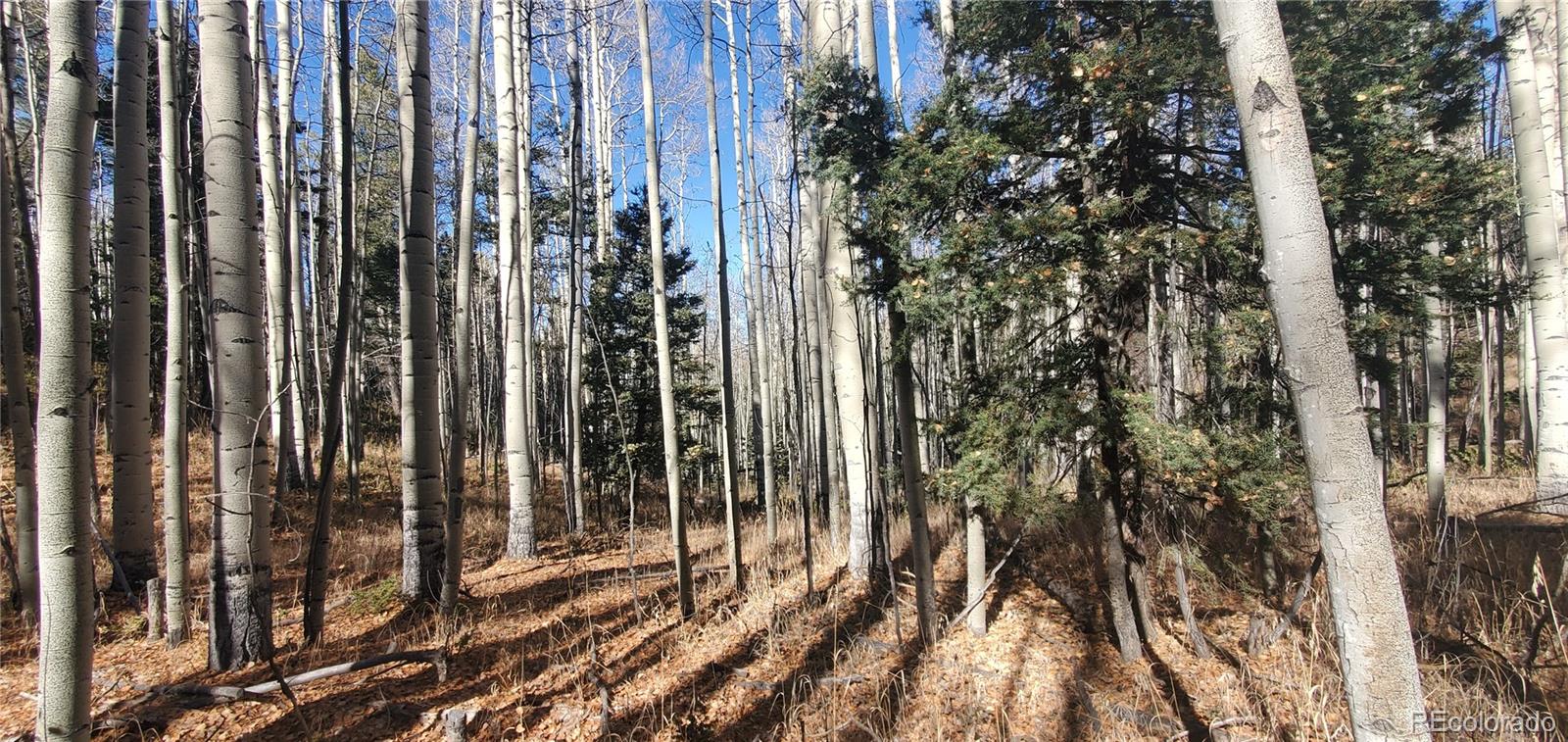Lot 6060 Forbes Road
