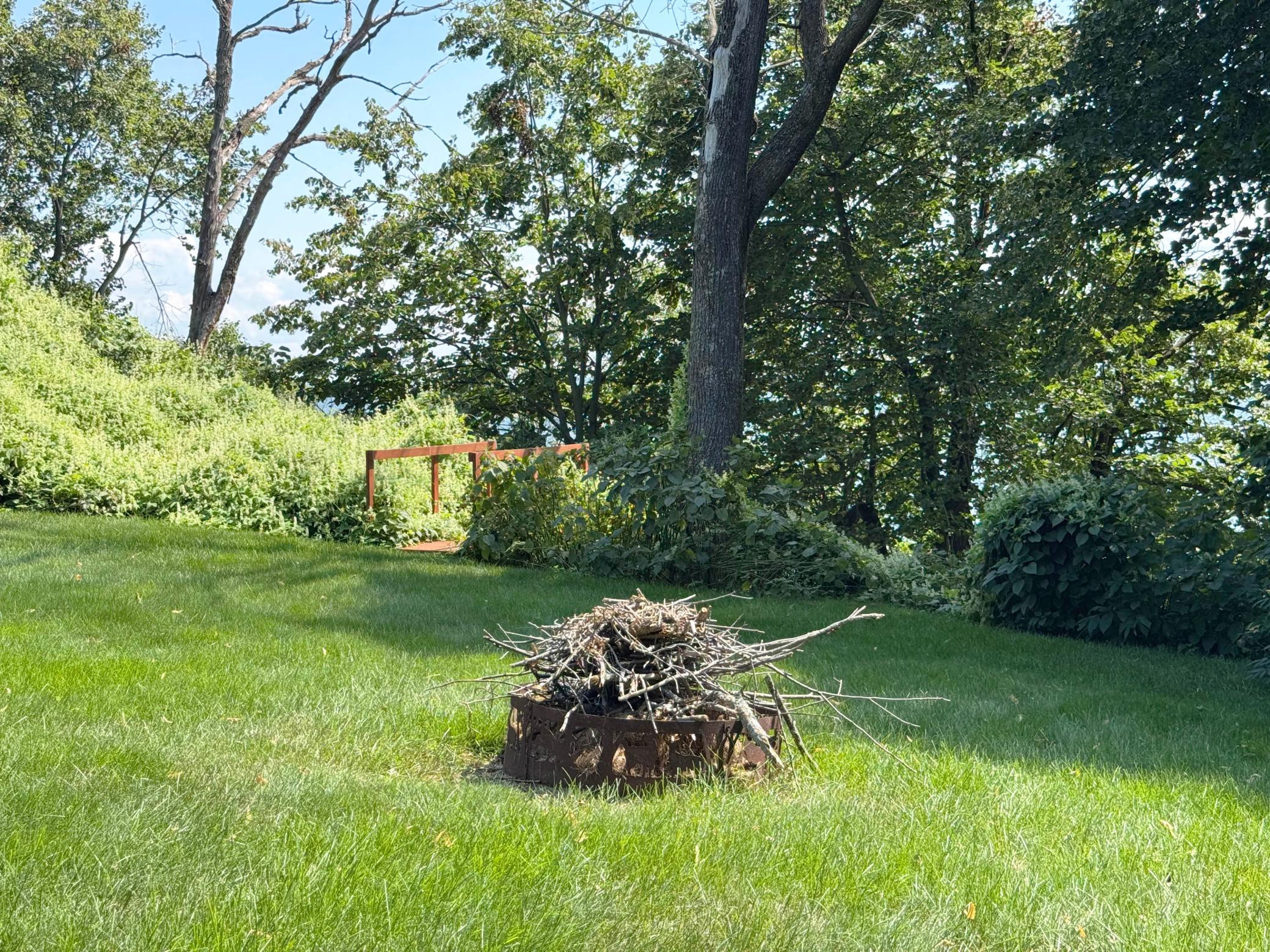 44205 Conifer Street