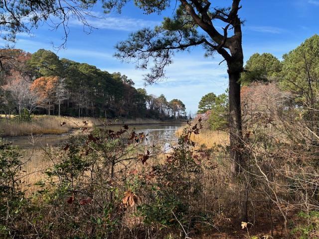 Here it is!! 2.07 waterfront acres with no HOA in established, nice neighborhood! Perfect setting for a secluded home surrounded by partially wooded mature trees. Perfect investment if you are not ready to build right away or if you are ready to make your dreams a reality. Less than 10 minutes to historic Cape Charles, shopping, restaurants, and theatre.