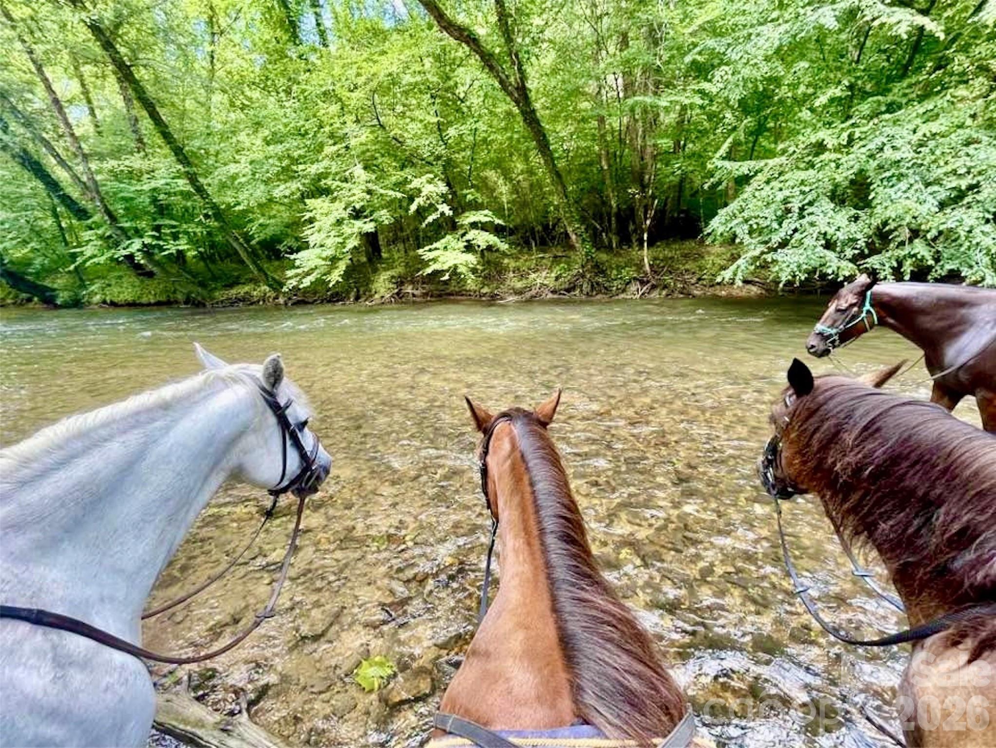 Lot 126 & Lot 127A Sunset Creek Lane 126 & 127A