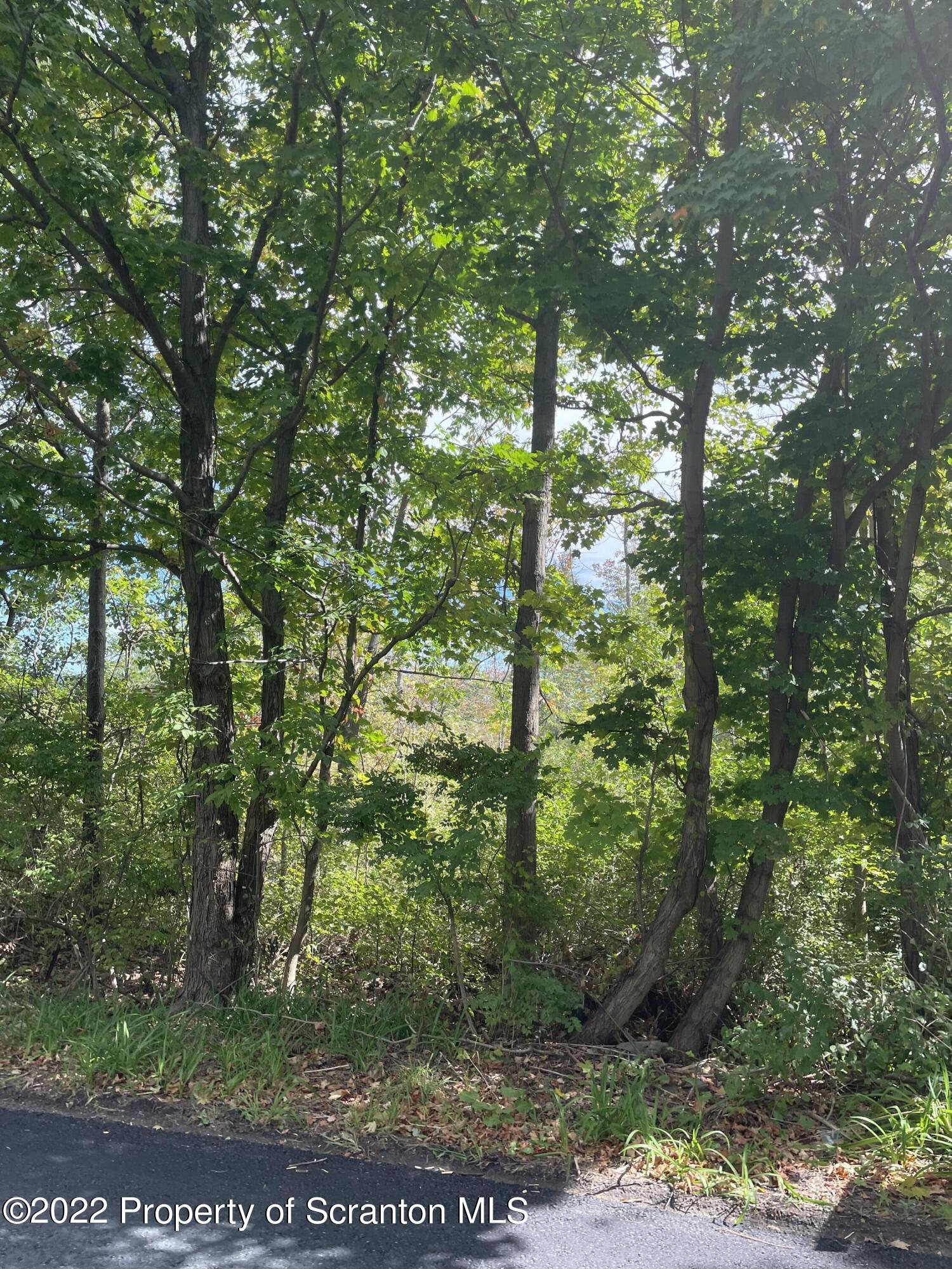 Griffin Pond Road