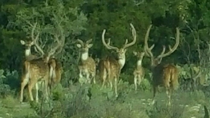 101 NE Big Draw Drive