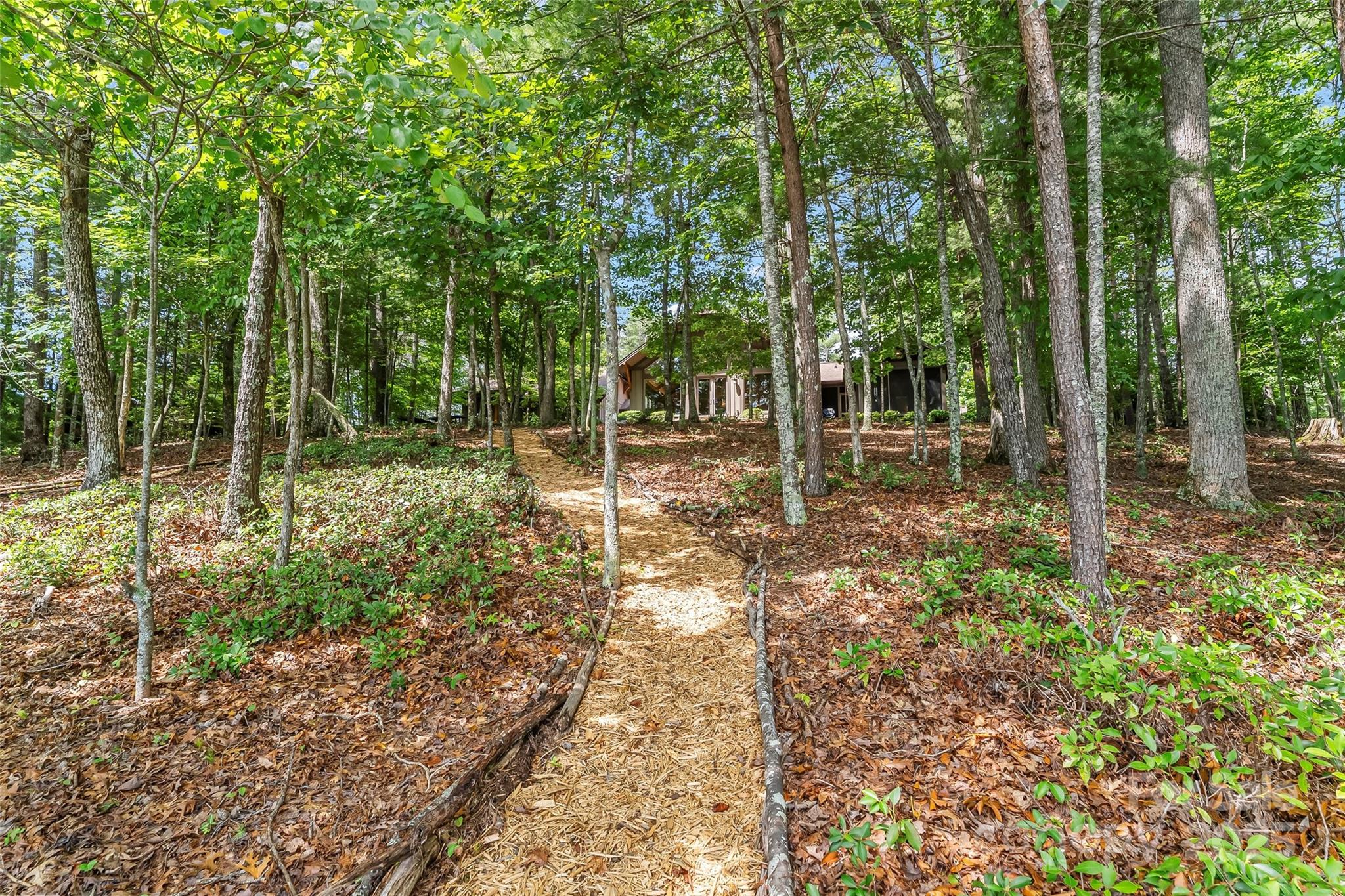 429 Turtle Head Drive