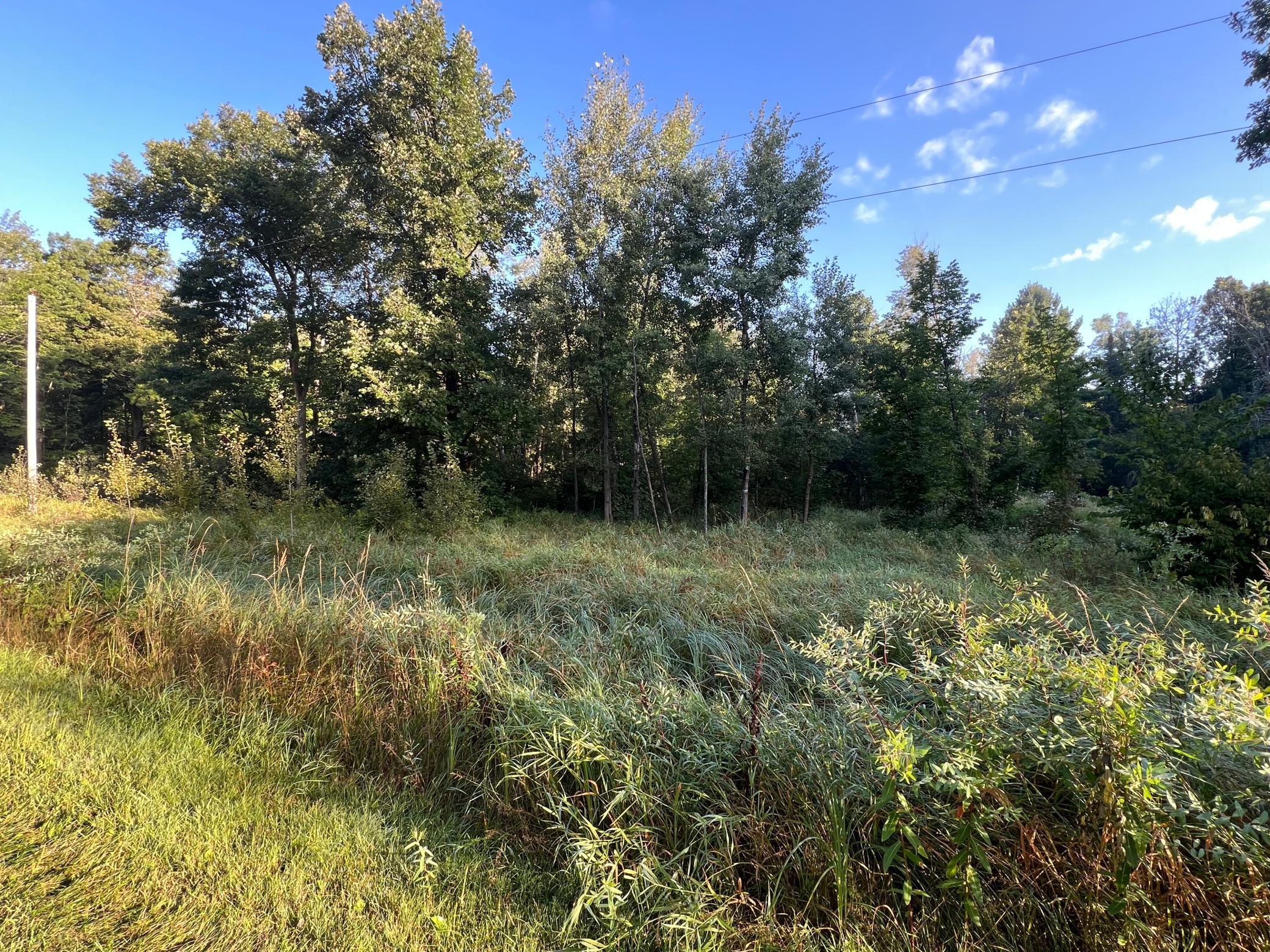 TBD Spruce Circle