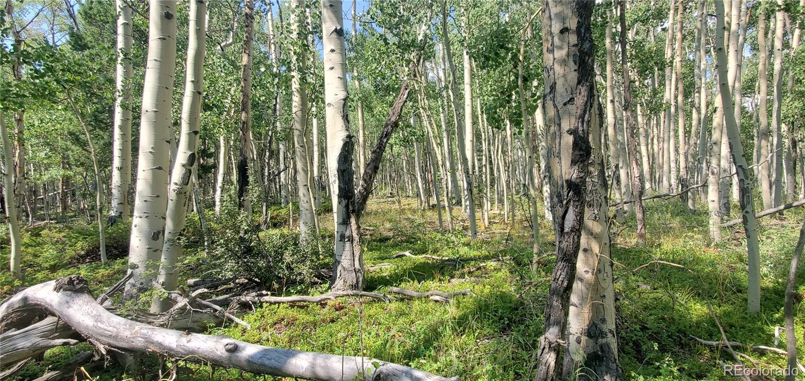 Lot 5837 Sheldon Road