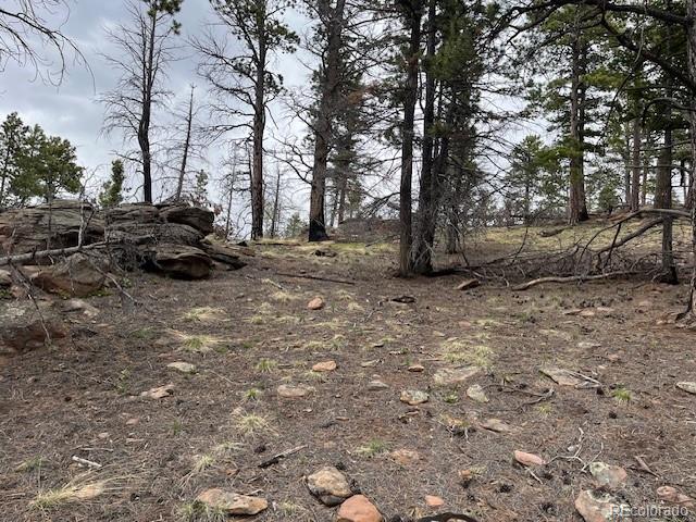 Lot 513 Leslie Loop