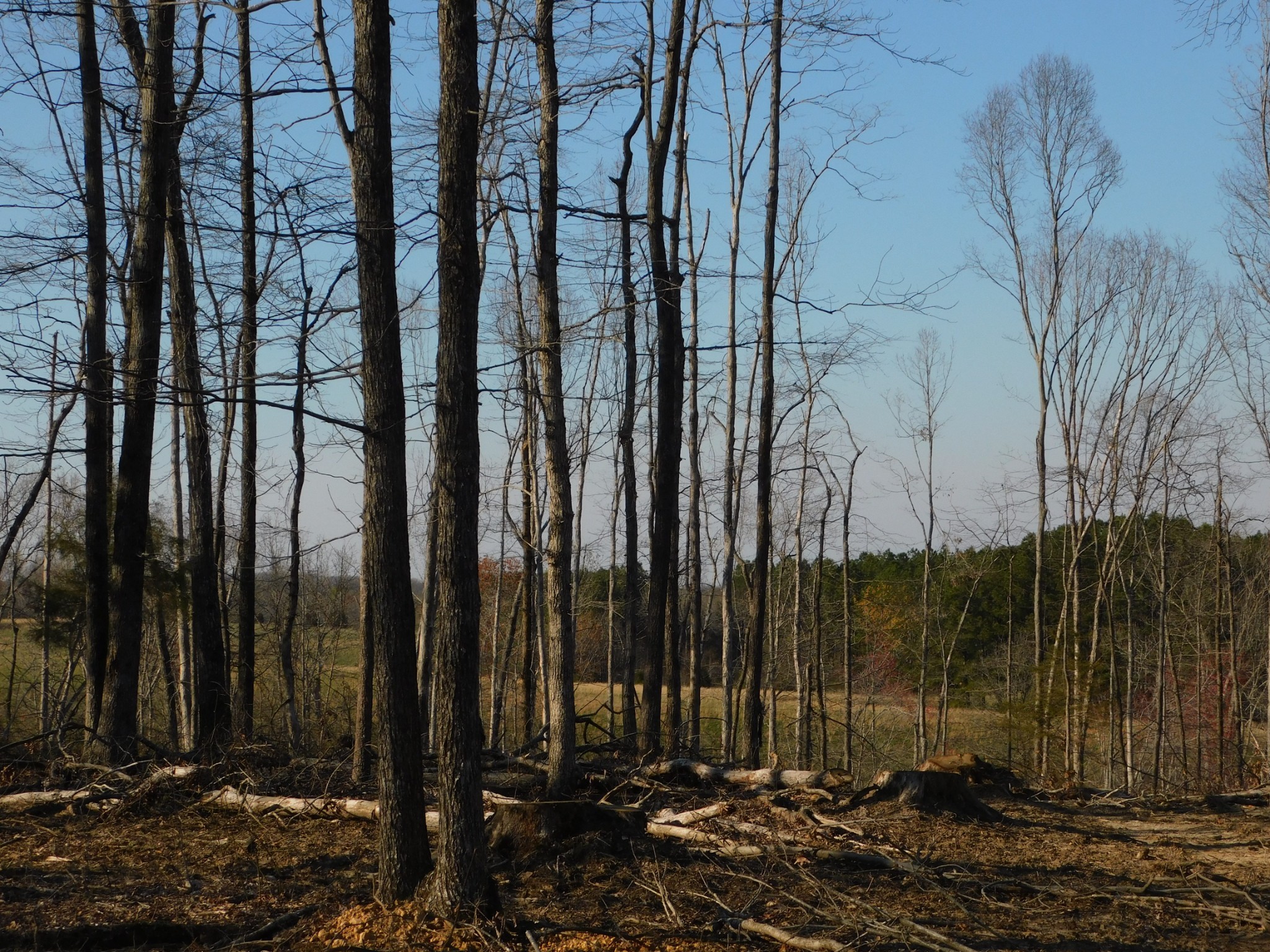 0 Lucas Ridge Road