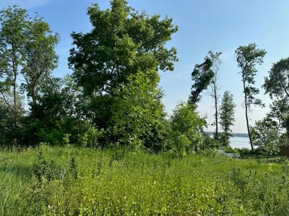 Lot 3 Stalker View Lane