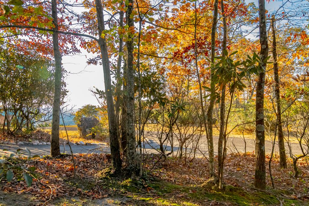 This beautiful 1.067-acre lot offers an ideal blend of convenience, natural character, and mountain charm. With excellent paved road access and a view of Pilot Mountain from the front of the property, this lot is a rare find in one of Carroll County's most desirable mountain communities. Priced as a true bargain, it offers incredible potential for anyone looking to build a peaceful retreat or creative getaway with inspiring scenery.  The lot's gently rolling terrain provides flexibility for your future home site, while the large boulders at the front add unique natural ambiance and a sense of timeless mountain beauty. With some light clearing, the already impressive view could become absolutely stunning—perfect for a wraparound porch or outdoor living space that takes in the iconic view of Pilot Mountain across the valley.  The community is protected by light restrictions to safeguard your investment—campers and mobile homes are not permitted—and features wonderful shared amenities, including a stocked fishing pond, a scenic waterfall, and a picturesque covered bridge with a picnic area for family and friends to enjoy.  Located just 2 miles from the Blue Ridge Parkway, this neighborhood offers that peaceful mountain feel while remaining convenient to everything you need. You're less than 20 minutes to town for shopping, 28 minutes to Mount Airy, NC, about an hour to Winston-Salem, 75 minutes to Blacksburg, 90 minutes to Greensboro, and under two hours to Charlotte.  With its paved access, view potential, and distinctive mountain character, this lot is a standout choice for those seeking beauty, convenience, and value in the Blue Ridge Mountains.