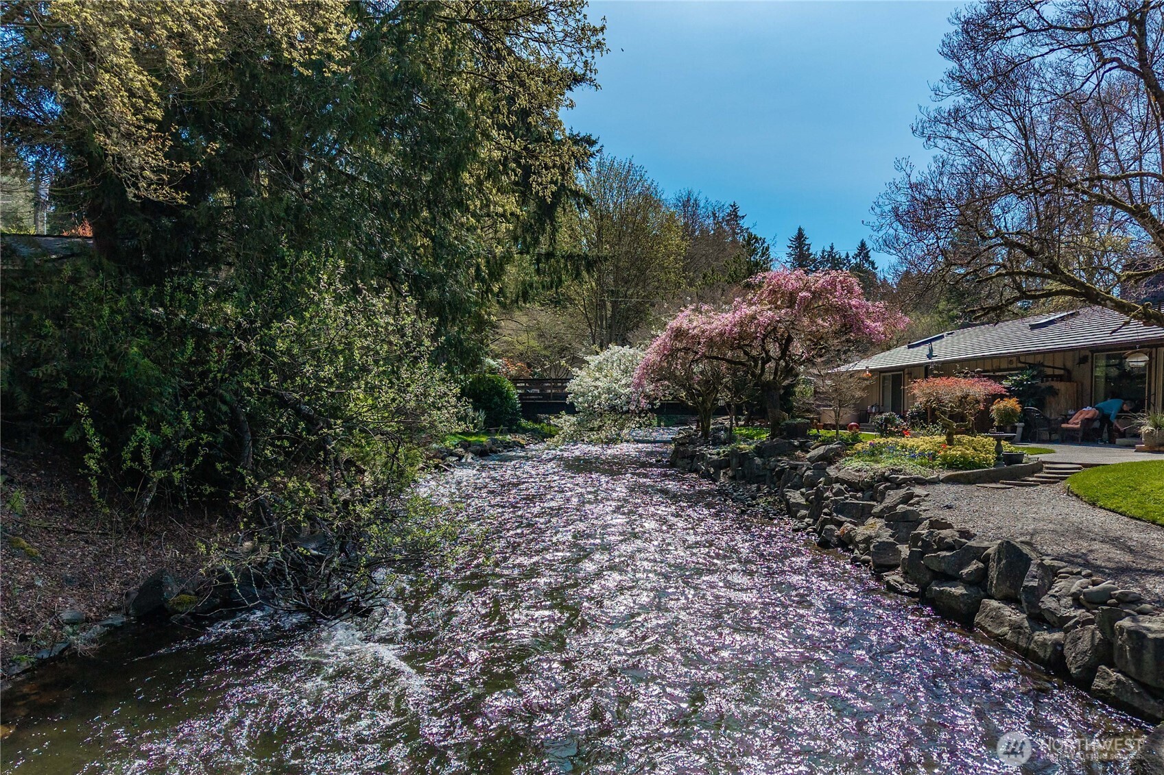 Chambers Creek Frontage!! Come tour this amazing hidden gem w/low bank creek frontage = private bridge to your own little oasis! 1-story living w/beautifully landscaped yard & sprinkler system. Formal entry leads you into this newly refurbished home - featuring formal dining & eat-in kitchen. All new appliances included! Living room with fireplace and lovely VIEW of the creek. Main suite with VIEW and access to patio. Nice sized 2nd bedroom, 2 baths, 2 car garage with off street parking. YOU WON'T WANT TO MISS THIS ONE!!