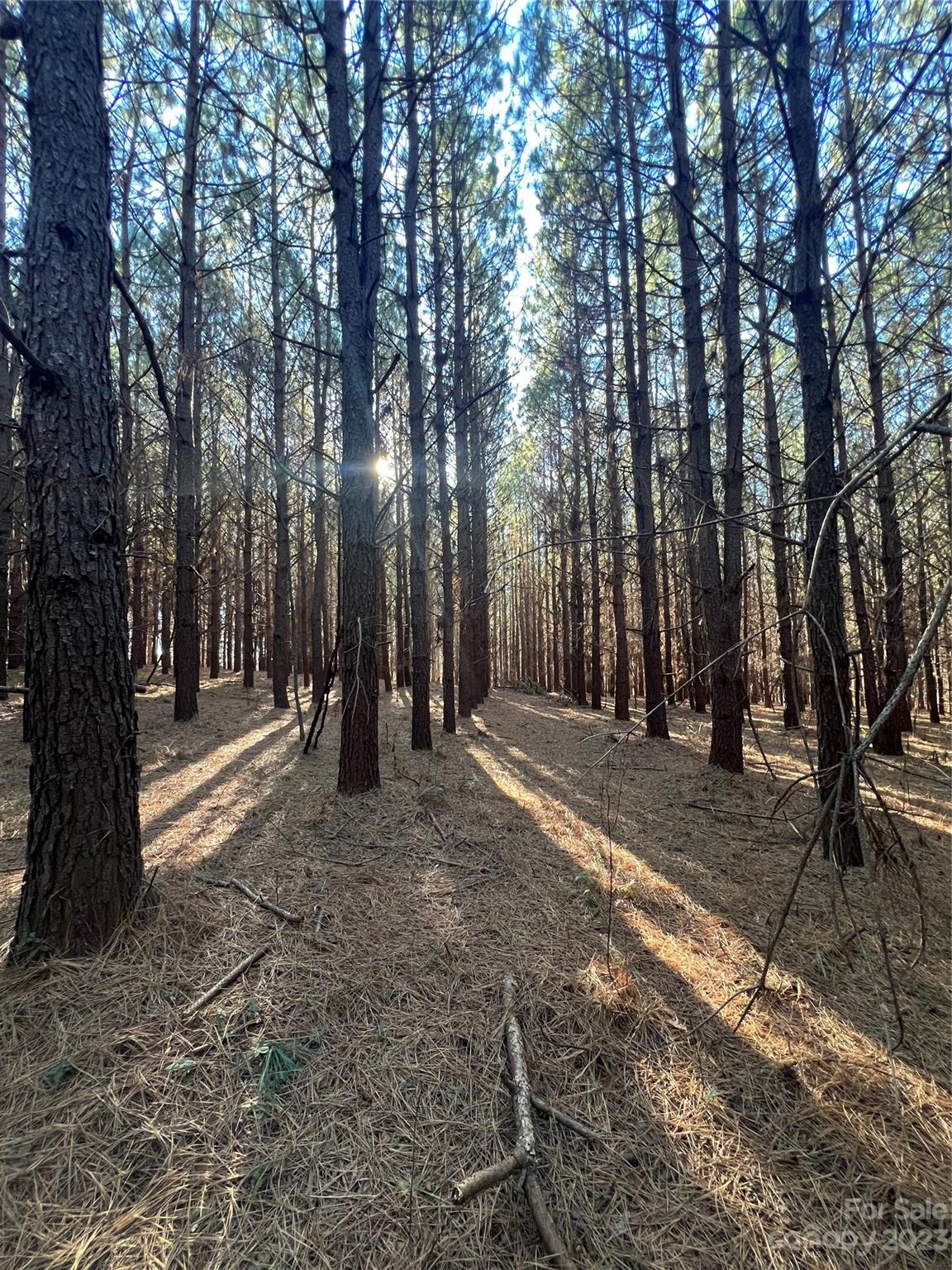 678 Turnersburg Highway