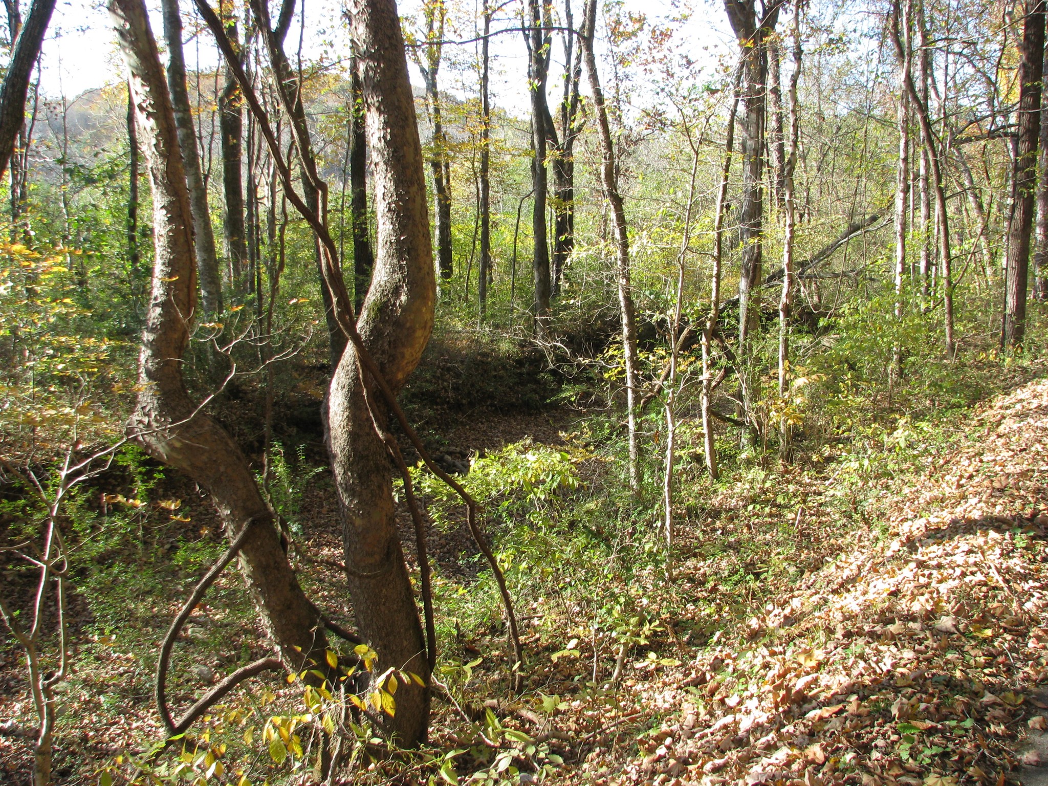 199 Spann Loop