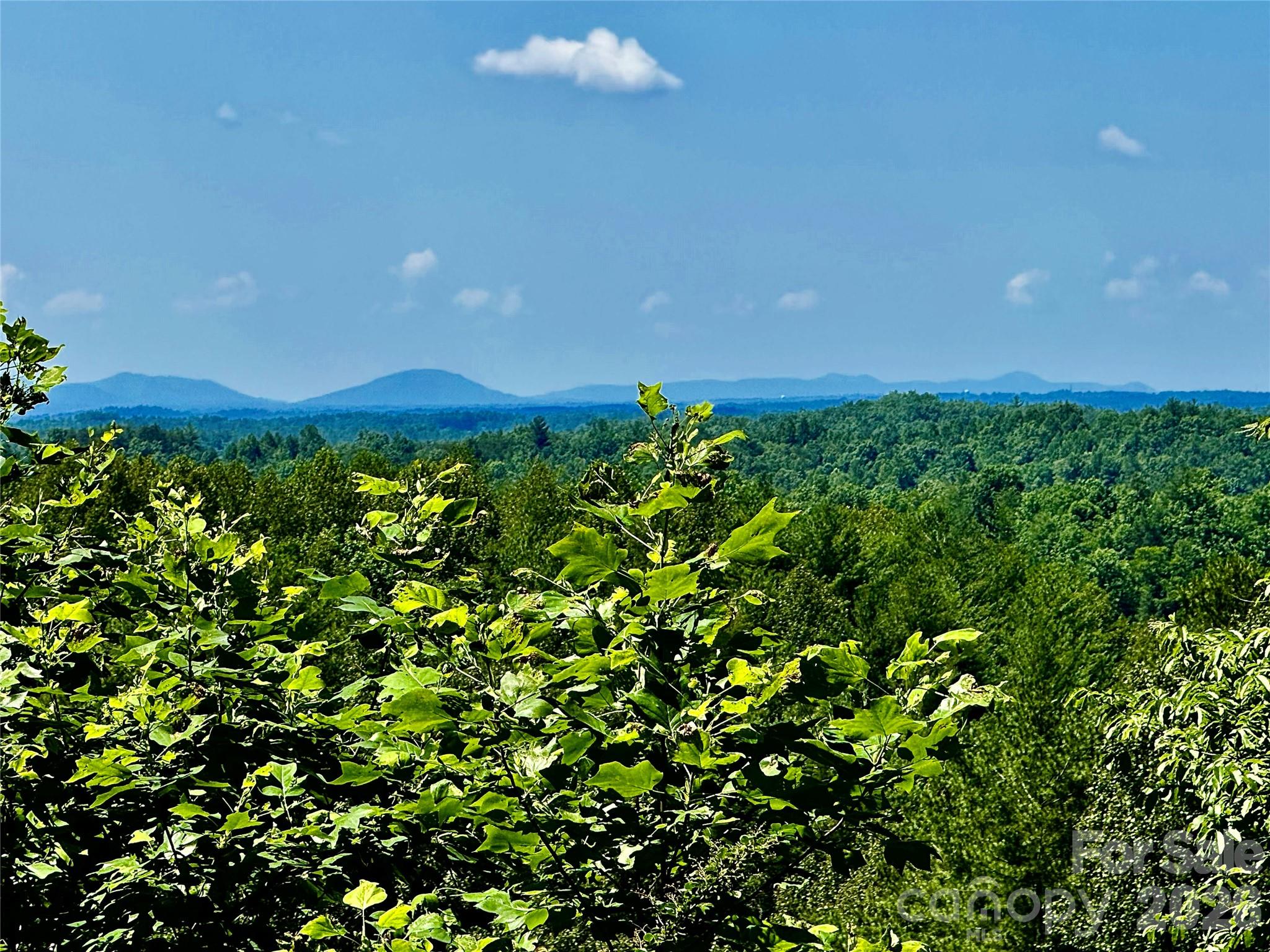10 acres, Lot 528, Scenic Vista Trail 528