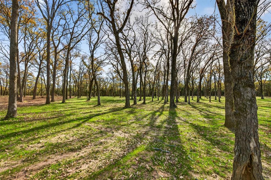 Lot 14 Buck Trail
