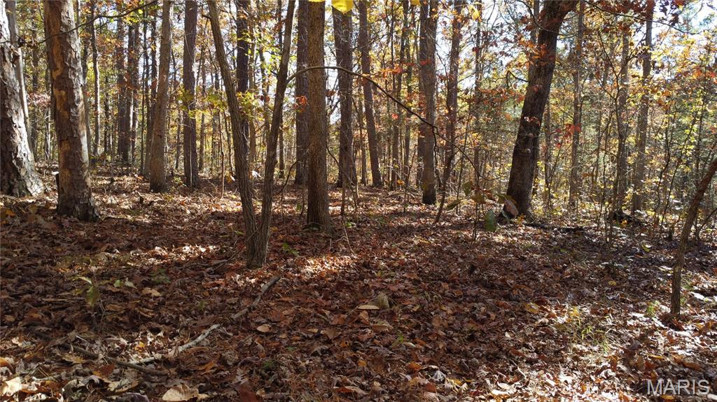 10256 Christina Trail