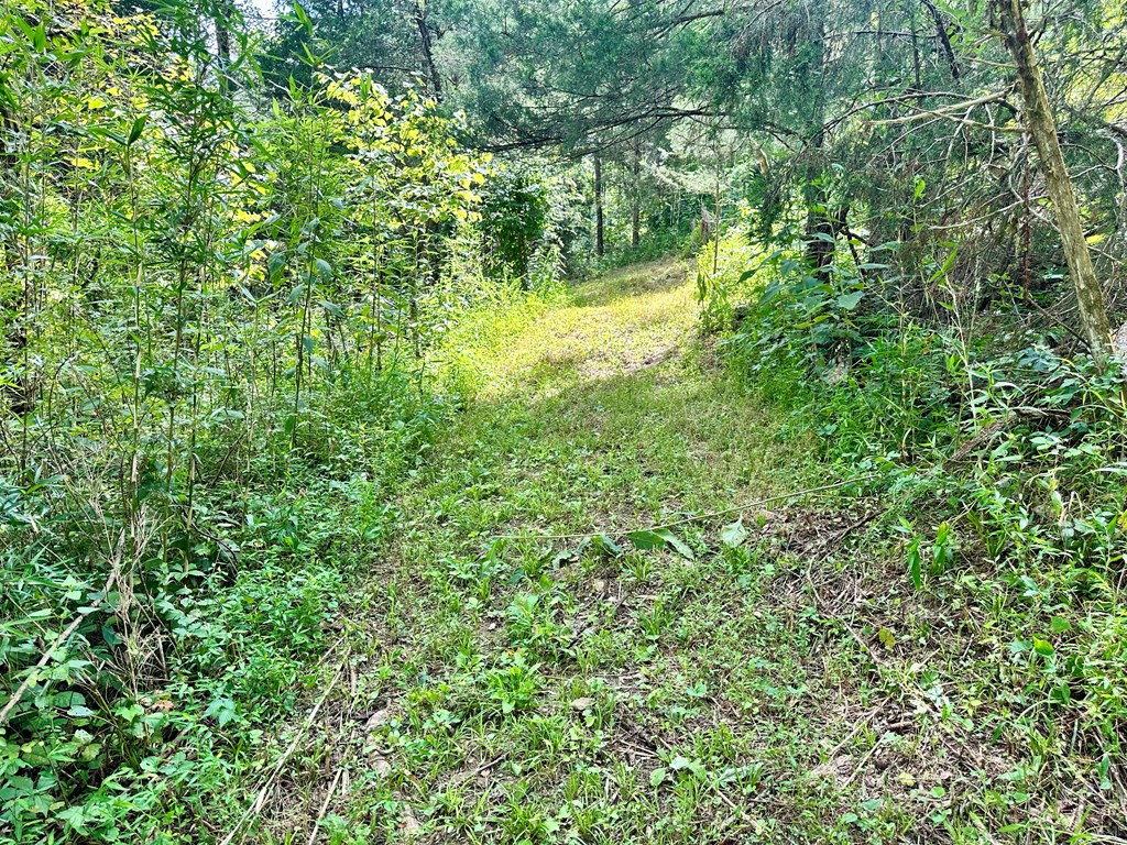 392 Possum Hollow Rd