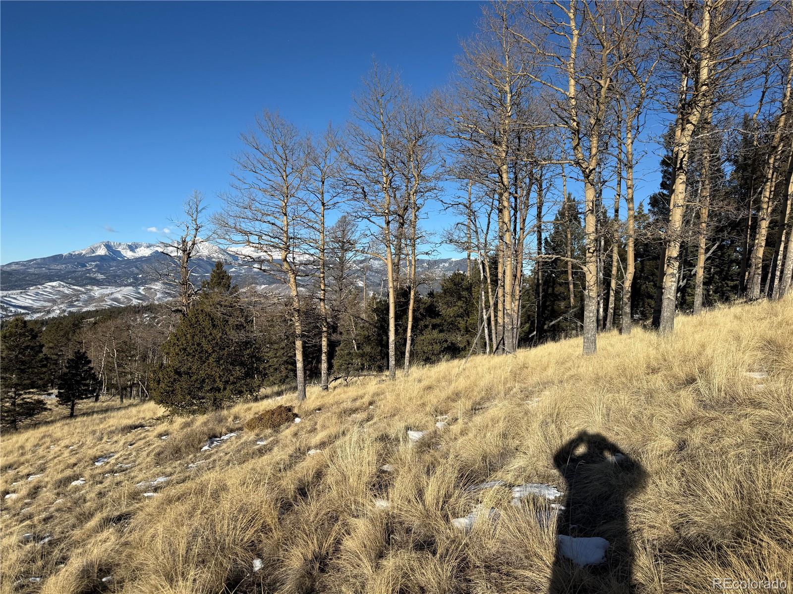 Lot 499 Collinson Drive