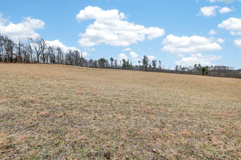 This 1.00-acre building lot (LOT 4) offers an excellent opportunity to enjoy a quiet rural setting while still being conveniently located near area amenities. SUITABLE FOR MANUFACTURED HOMES, RECENTLY PERC-TESTED - Zoned A-1 in Washington County, Virginia, the property allows for a variety of residential uses, including manufactured homes (buyers may consult the Washington County zoning office for additional details and permitted uses).  Outdoor recreation is close at hand, with South Holston Lake located less than two miles away and a local marina approximately five miles from the property, offering convenient access to boating, fishing, and water activities. Despite its peaceful countryside setting, the property remains within a short drive of the amenities of Abingdon and Bristol, as well as convenient access to Interstate 81.  The property has recently been perc tested for a three-bedroom home, and a recent survey is available, helping streamline the planning process for your future home. Public water is available at the site (consult with Washington County Service Authority for more info), and the lot offers plenty of road frontage, providing easy access and flexibility for driveway placement and site layout.  Broadband internet service is also available (consult with Point Broadband and Xfinity to confirm pricing and availability).  Whether you're planning to build a primary residence, place a manufactured home, or simply secure a well-located piece of land near South Holston Lake, this property offers a great combination of location, usability, and rural charm.  MULTIPLE LOTS AVAILABLE, contact your agent for more information.  Red boundary markings are approximate representations and are not a replacement for a survey.  New survey available, survey not yet recorded, final sale pending final approval of plat from the County (in progress).