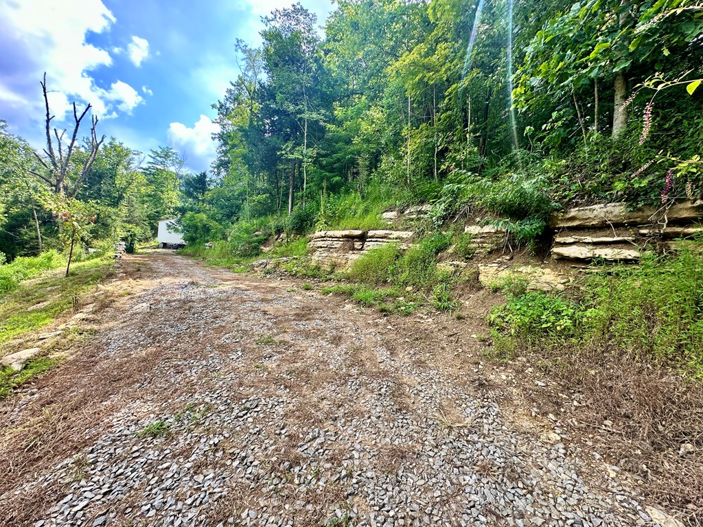 392 Possum Hollow Rd