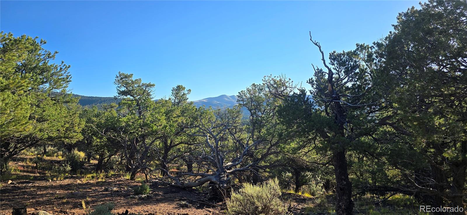 Lot 7381 Platten Road