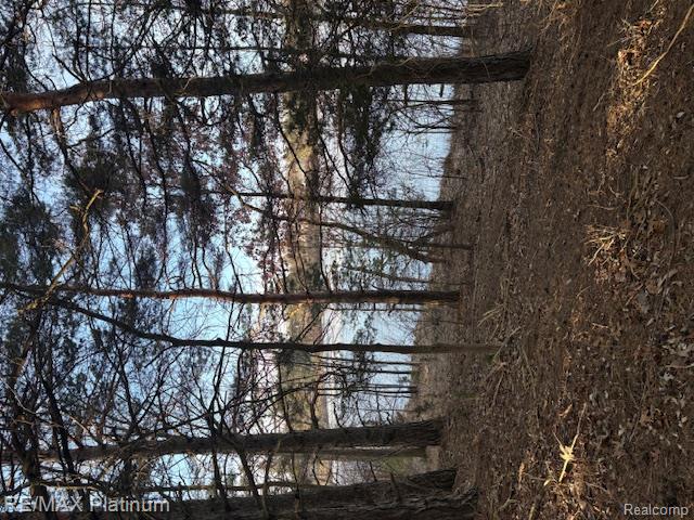 Lakefront acreage 1 mile to Howell City limits! Land suitable for developing homesites or a family compound or Just one big lakefront estate.  Natural Gas on Fisher Road. Legal description covers approximately 45 acres, more or less,  of which approximately 22.5 acres is land with the balance being submerged land (Lake Serene) . Zoned Single Family Residential-Min. lot size 1 acre w/o sewer or 10,000  sq. ft. w/ sewer. Additional Sewer and Water REUs are available. The existing sewer and water lines are already running along the Fisher Road  frontage. One REU each of sewer and water is already paid for. Pineway Trail is a private road not maintained by The Liv. Co, Rd. Comm. LAKE SERENE Is approx. 33 acres and varies in depth from 7-15' deep and has been traditionally a no wake lake.Near the NorthEast corner of the 264 Edgemont lot the parcel has 66 ft. of road frontage at the corner of Monterey Ct. and Edgemont Drive. DO NOT LEAVE THE ROADWAY IN YOUR VEHICLE OR YOU WILL BE NEEDING TO CALL A TOW TRUCK and repair the land.