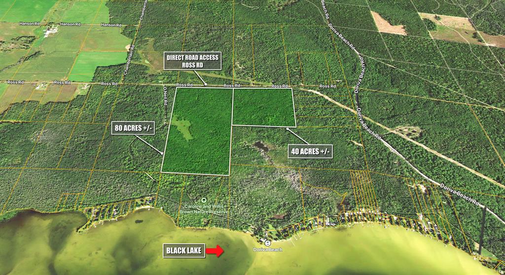 Opportunities abound: 120 acres near Black Lake two parcels one 80 acre and one 40 acre. Great location near Cheboygan  two tax id numbers 15101510000200                    15101520000100:  Over 2600 feet of road frontage allowing for several possiblities for developing or hunting, or recreation or have a large family compound close to Lake Huron Duncan Bay and close to Mackinaw City.  Mostly wooded: This is beauatiful property so don't miss out.