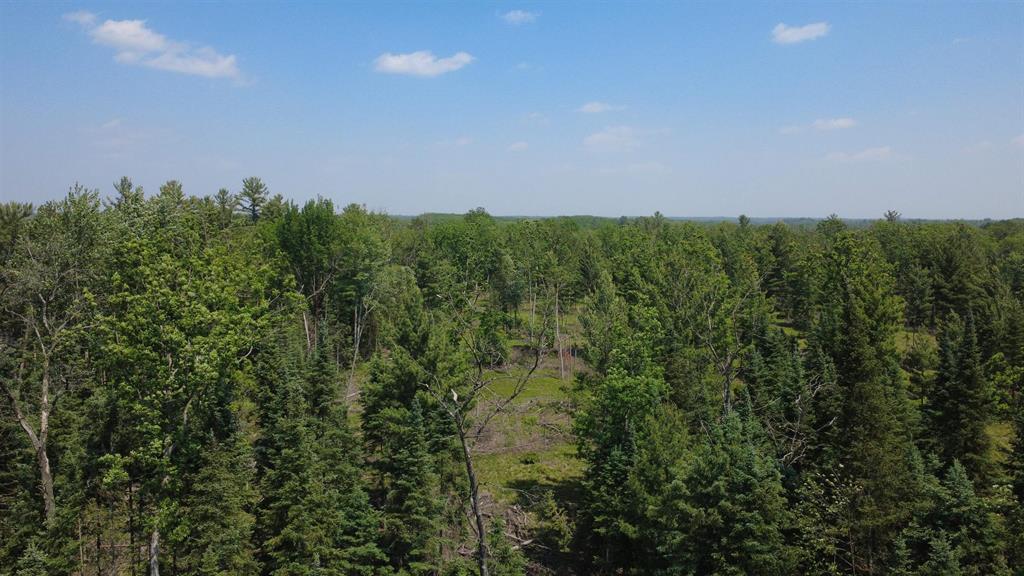 Escape to 40 acres of natural beauty nestled in northern Michigan! This exceptional property offers a rare combination of wooded seclusion and recreational potential Ã¢â‚¬" perfect for hunters, anglers, kayakers, canoers and much more!