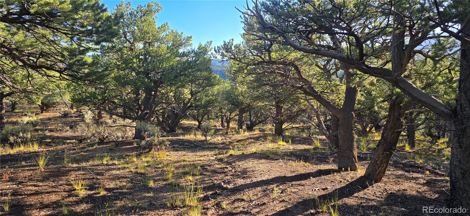 Lot 7381 Platten Road
