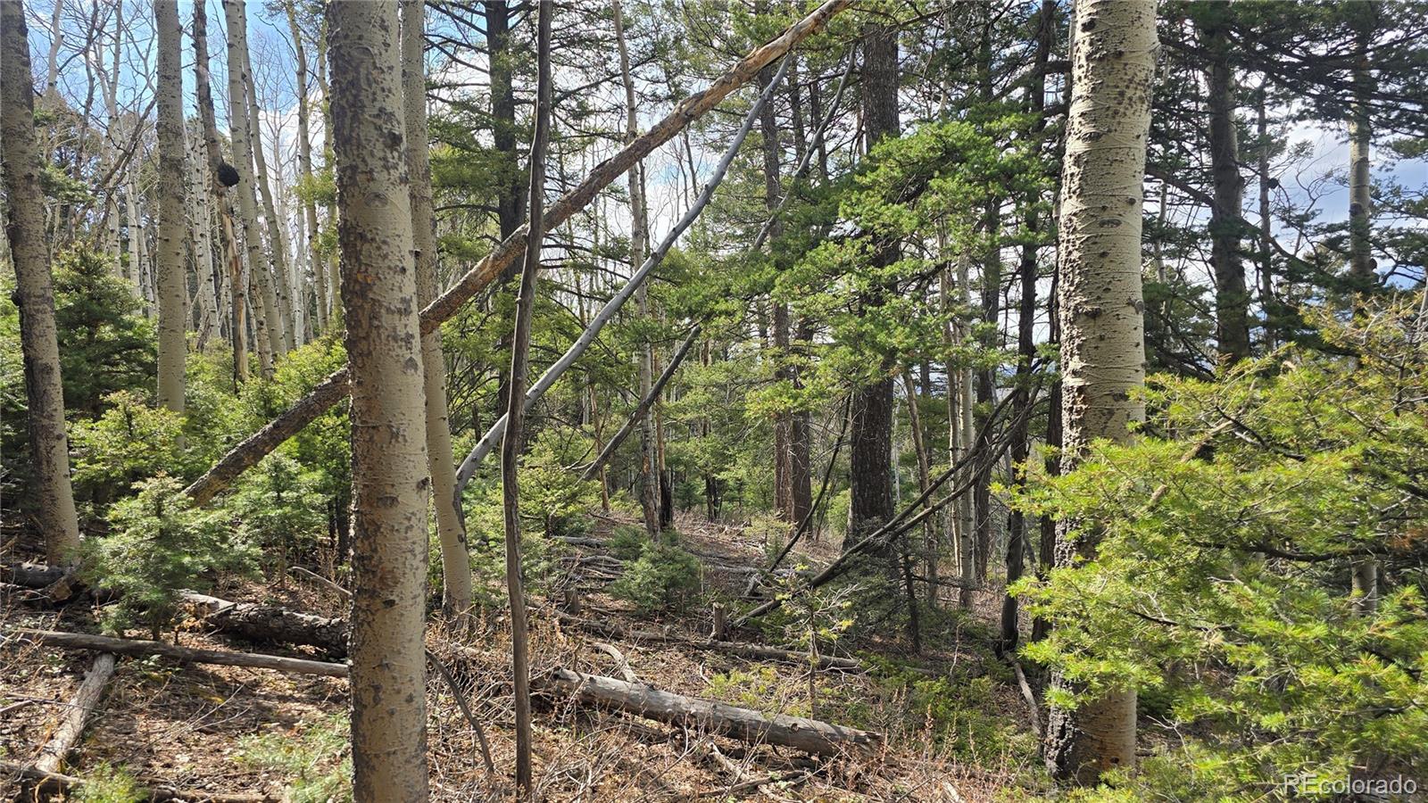 Lot 5261 Scott Road