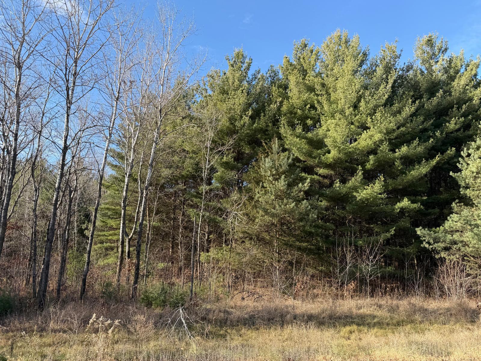 Beautiful 2.5 acre wooded lot in a highly desirable acreage development! Enjoy privacy, space, and a stunning natural setting—perfect for your custom home.Bordering Sand Dunes State Forest and across from the Sherburne National Wildlife Refuge, you’ll have thousands of acres of trails, wildlife, and outdoor recreation right outside your door. Conveniently located just minutes from Big Lake and Zimmerman for easy access to schools, parks, and daily essentials.Open Builder—build with our preferred builder or bring your own.With over half the development sold, now is the time to secure your lot!