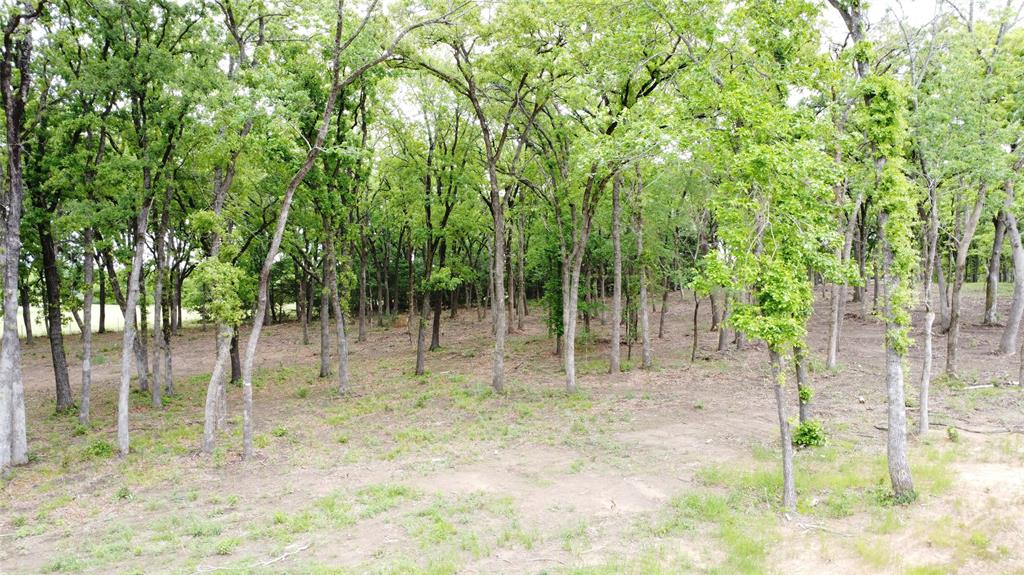 1210 Buck Trail