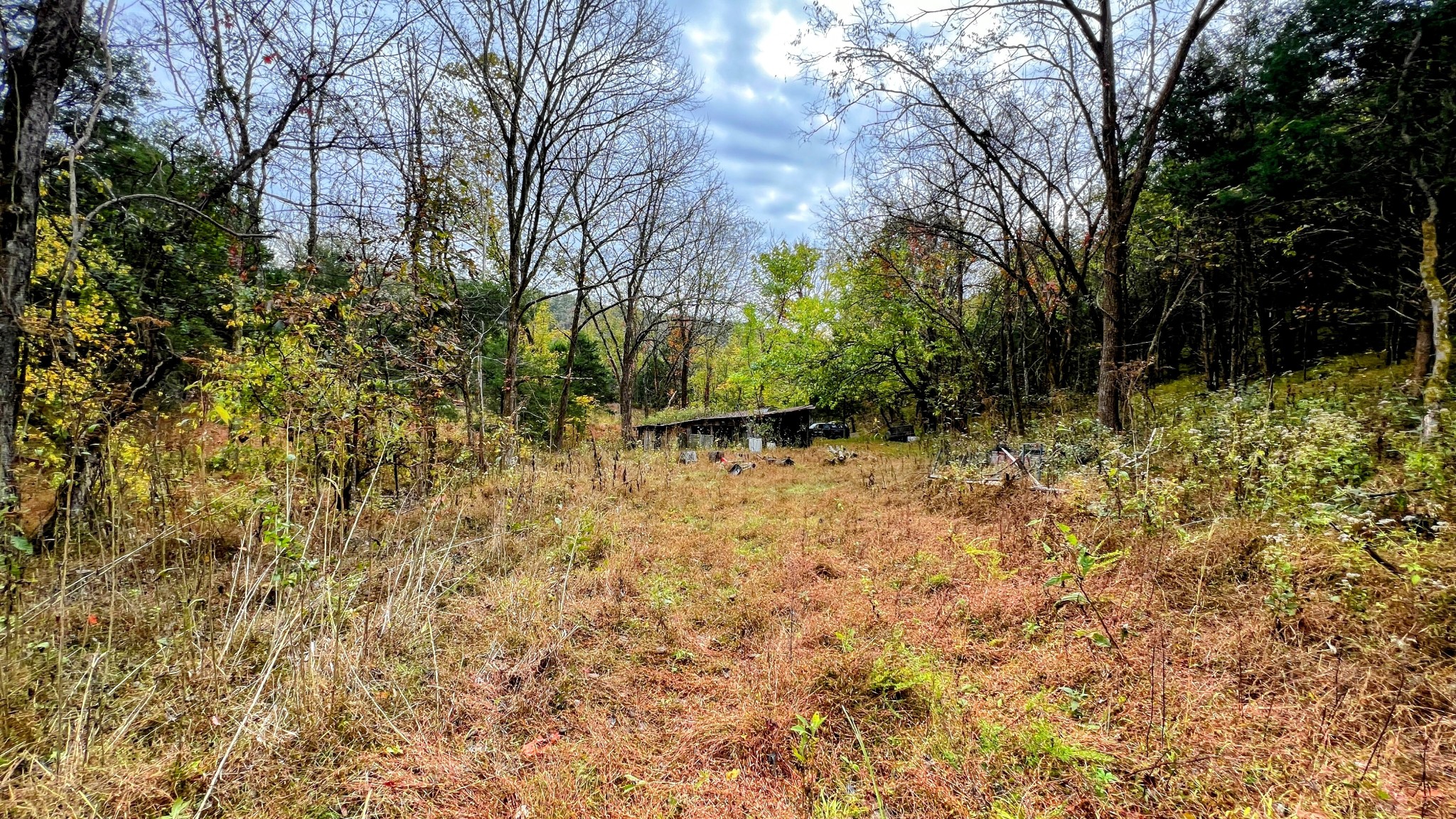 441 Pumpkin Hollow Rd