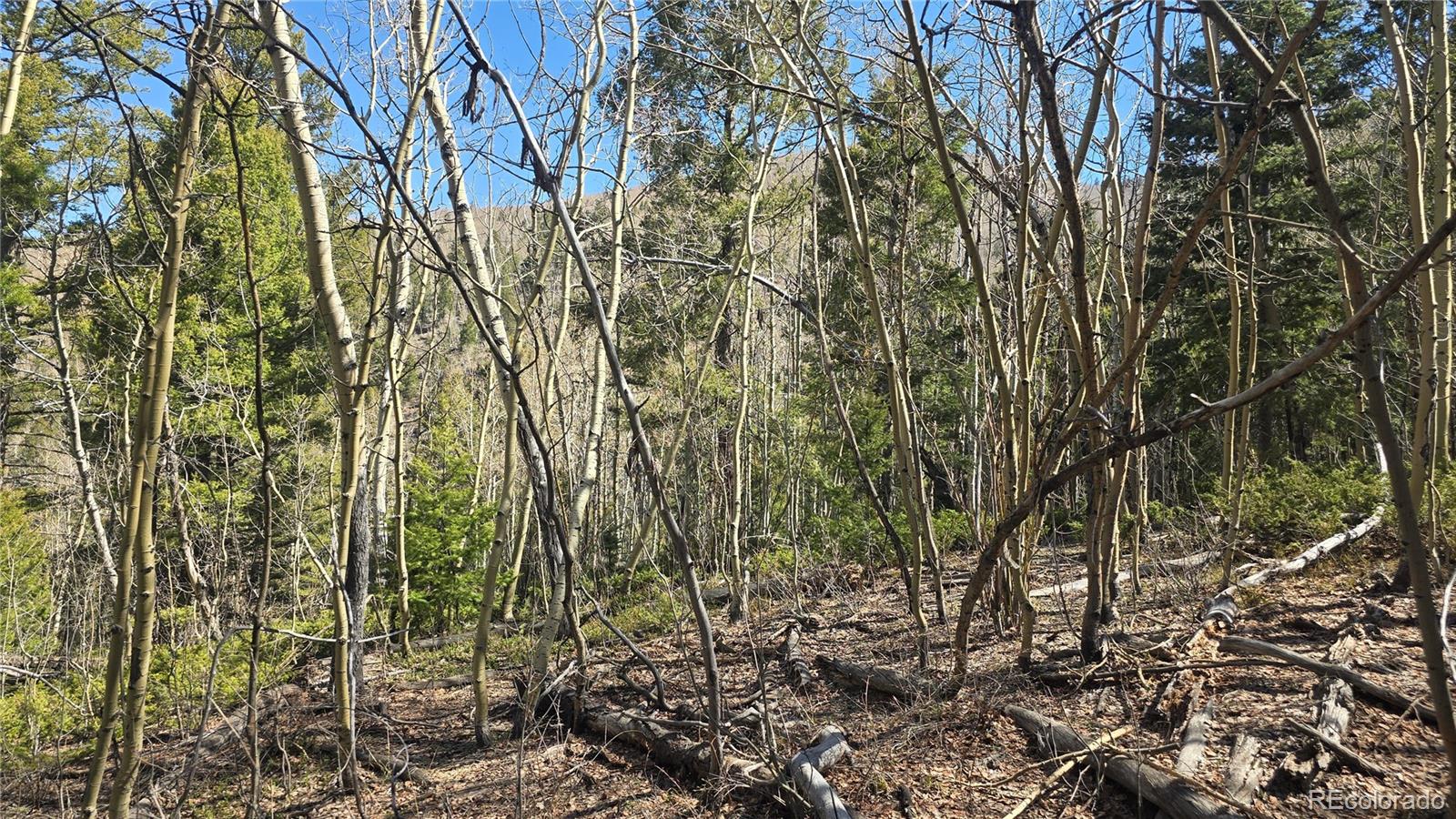 Lot 6708 Debbie Road