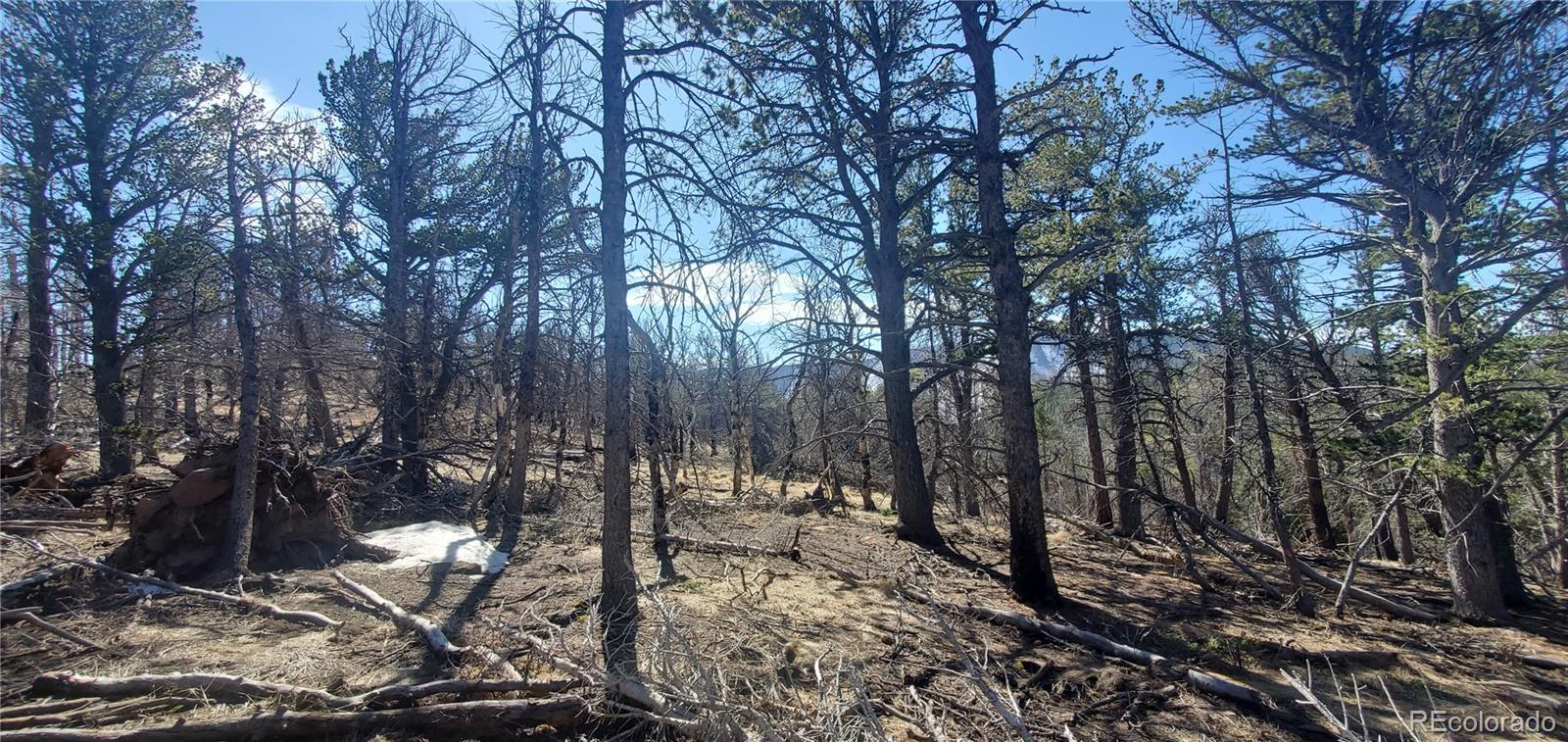Lot 2739 Newman Place