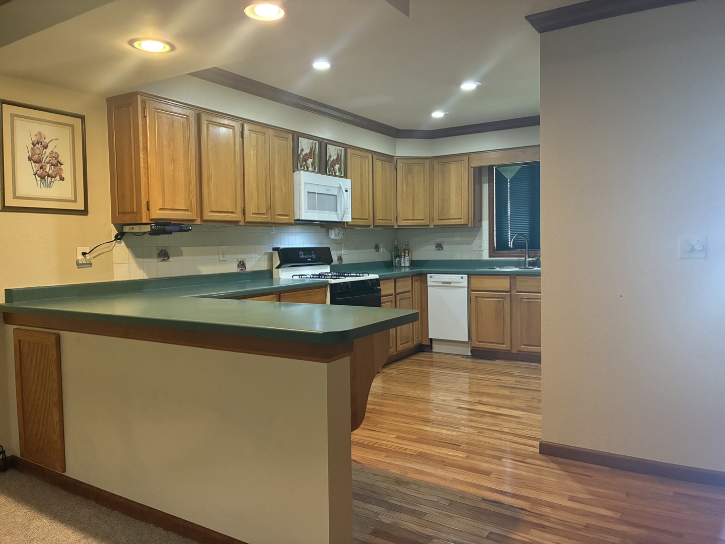 503 Donegal Drive