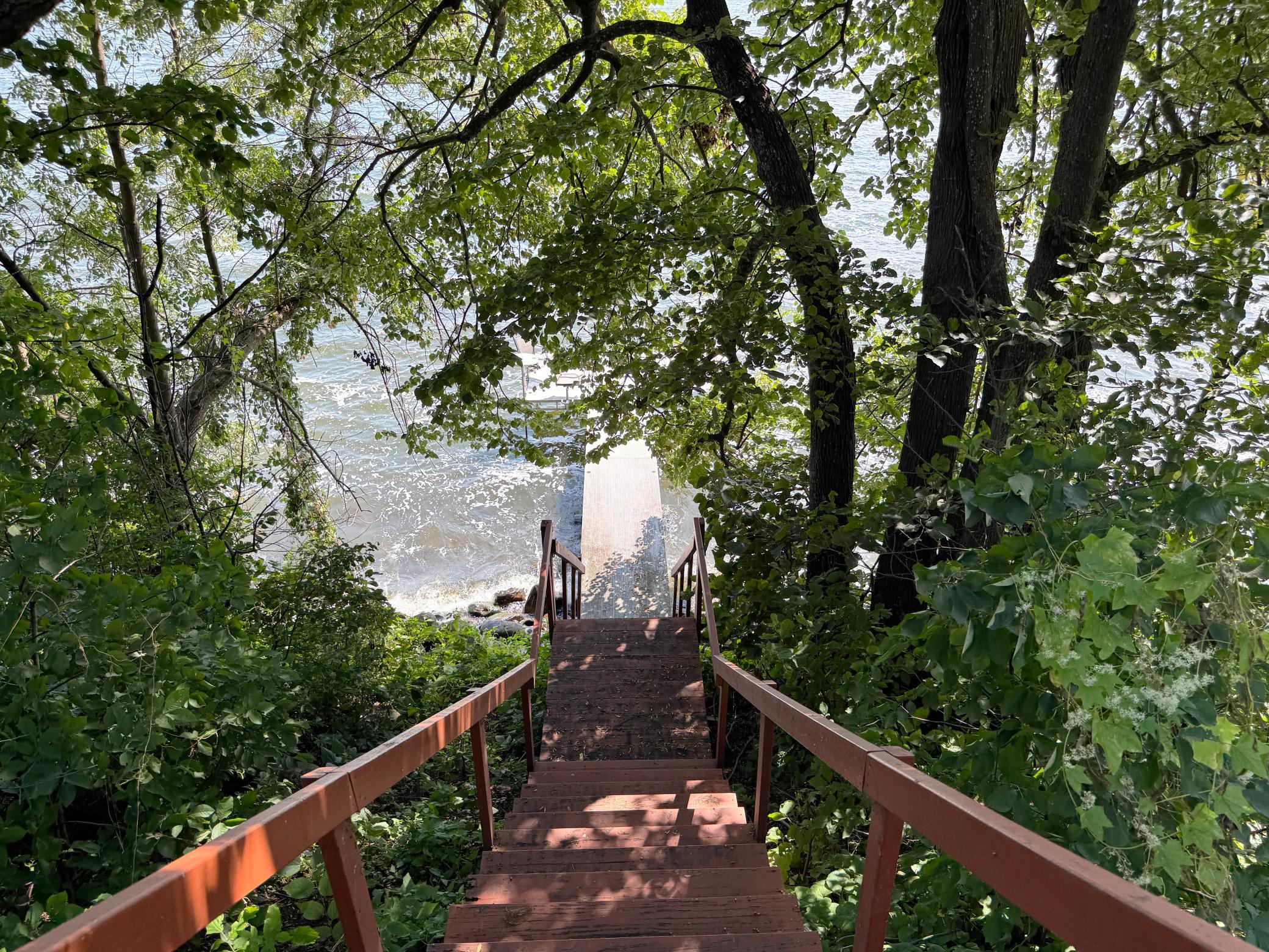 44205 Conifer Street