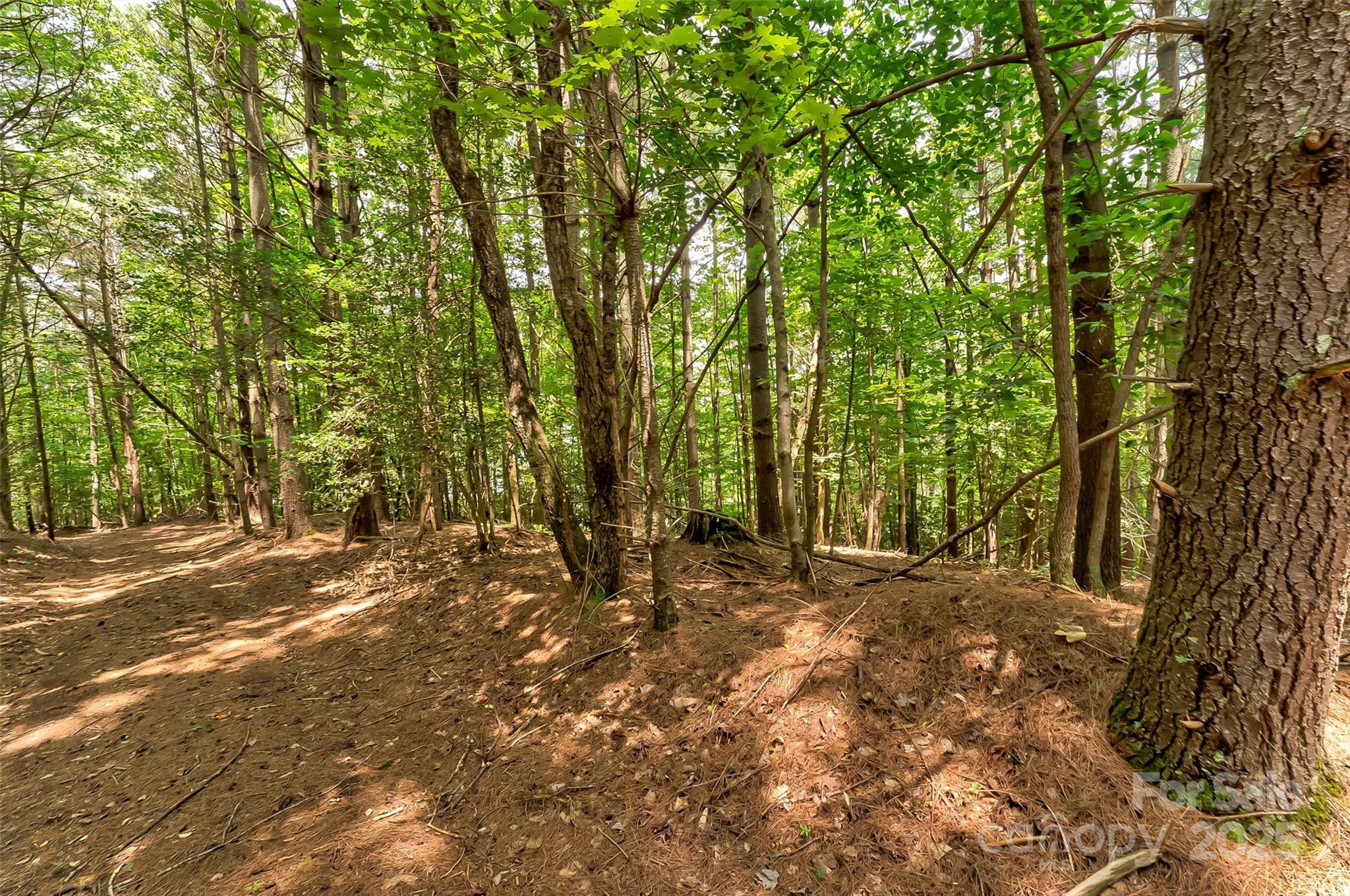 159 Deer Berry Drive 62