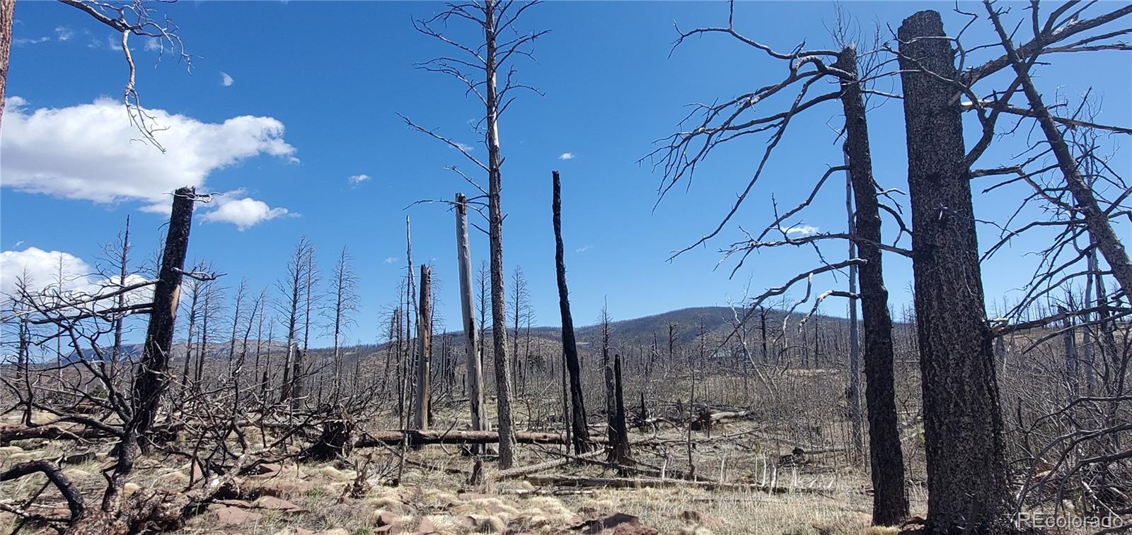 lot  1228 Granville Loop