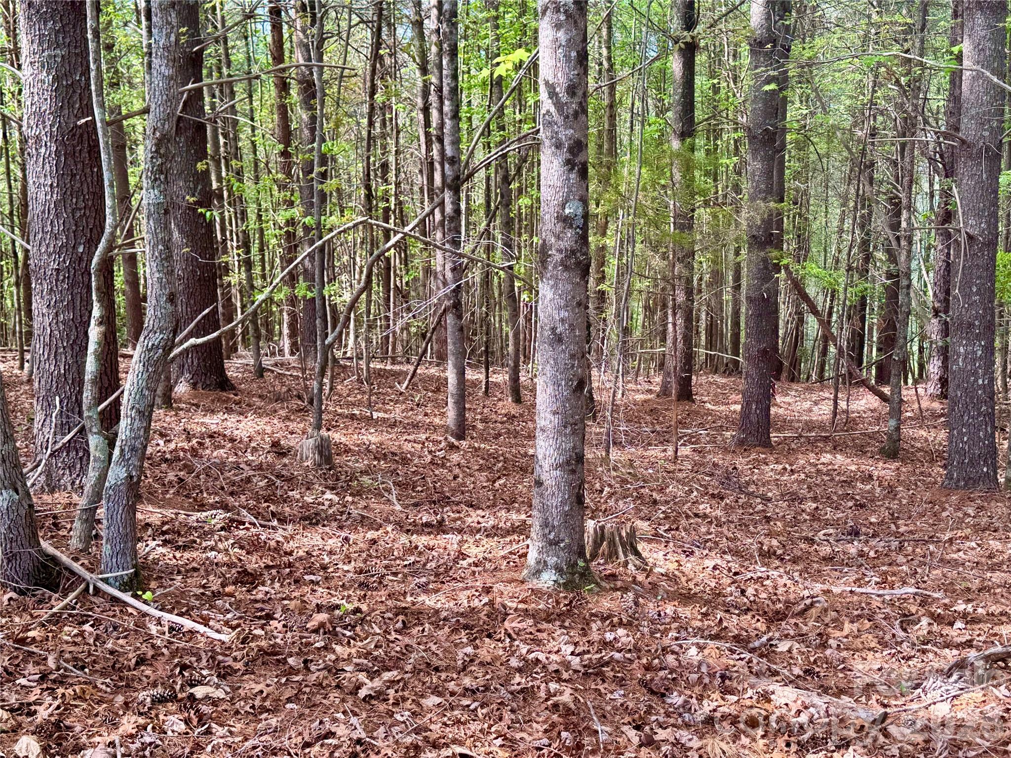 Lot 161/162 Rocky Falls Lane 161/162