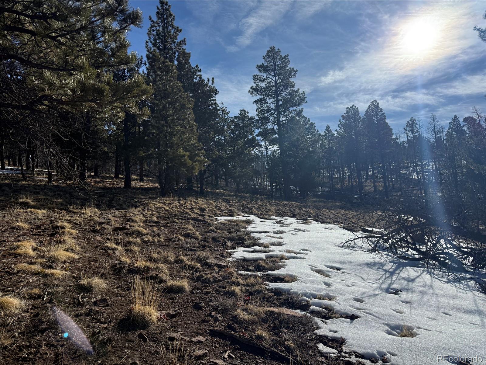 Lot 356 Spangle Drive