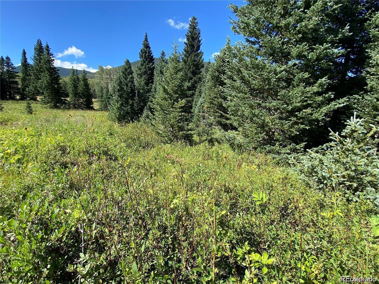 Lot 3141 Forbes Loop Road