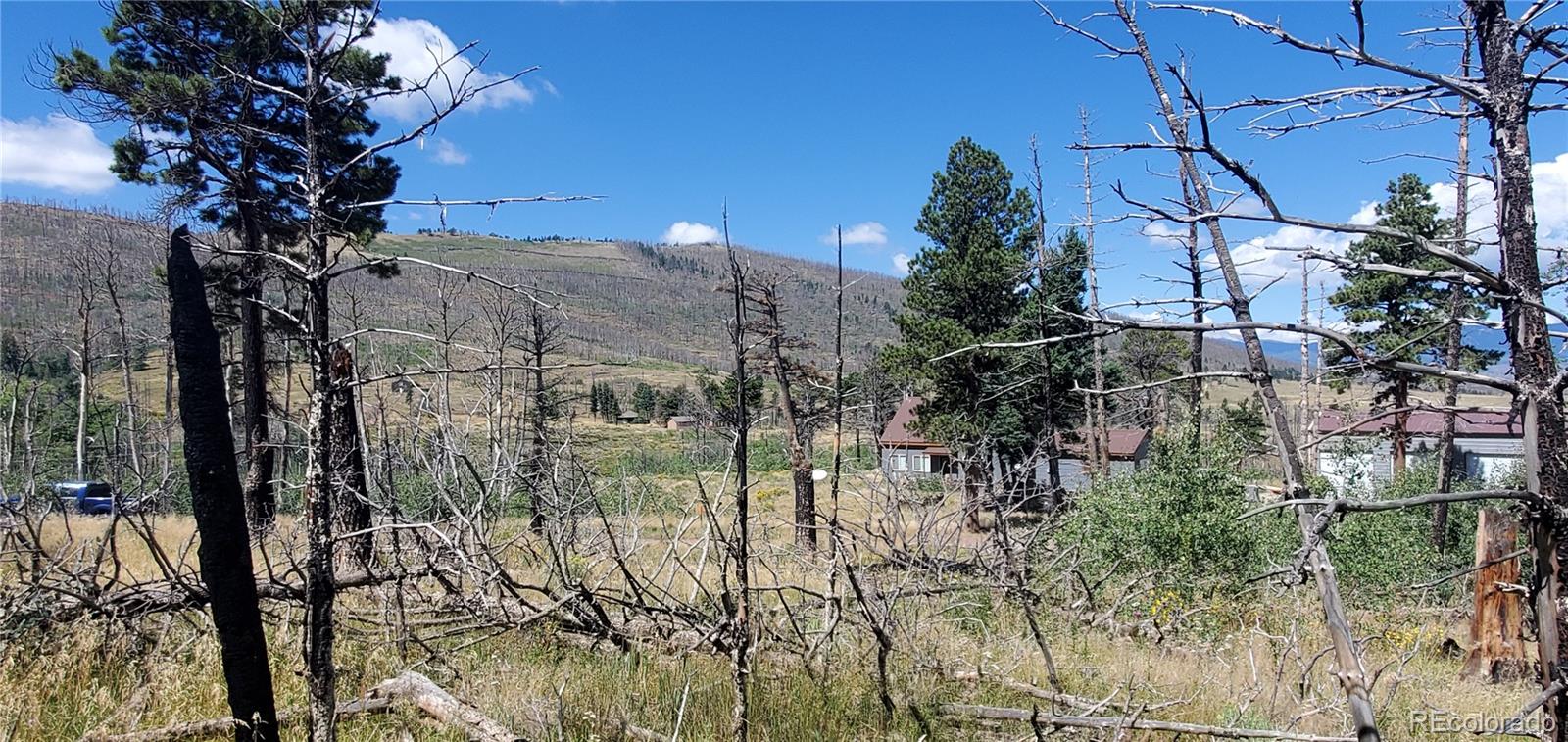 Lot 1064 Reed Lane