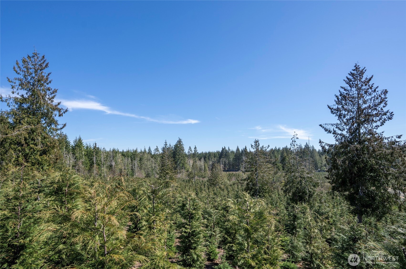 1800 E Harstine Island Road N