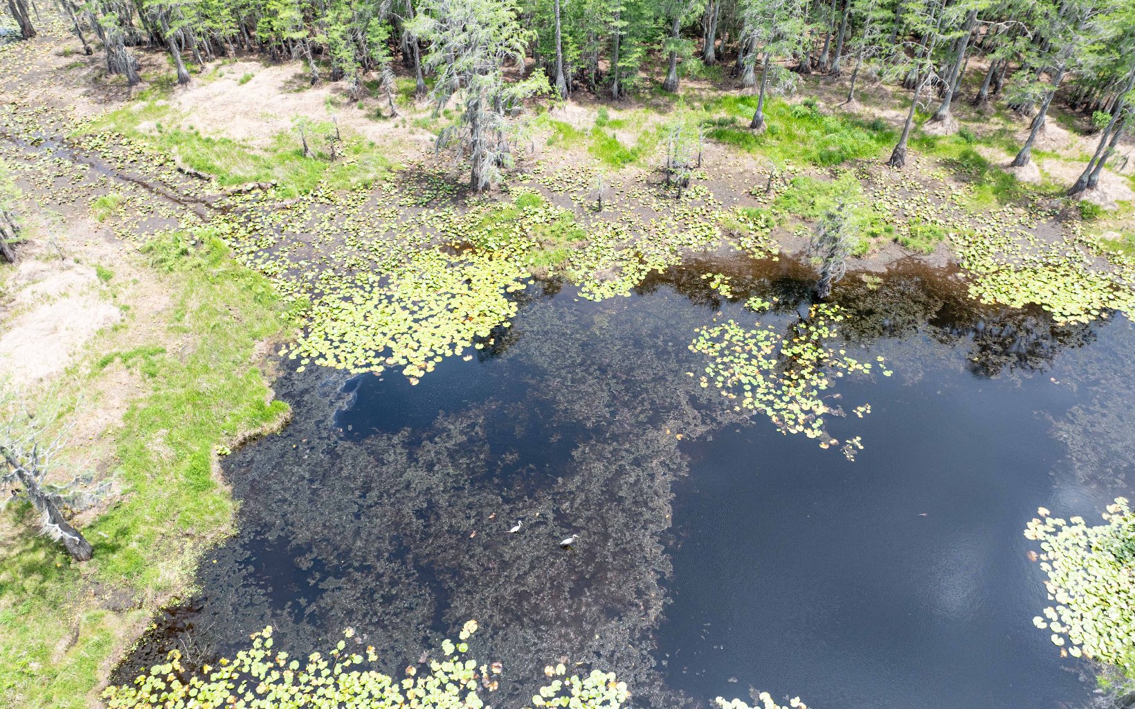 1285 SE Koon Lake Rd