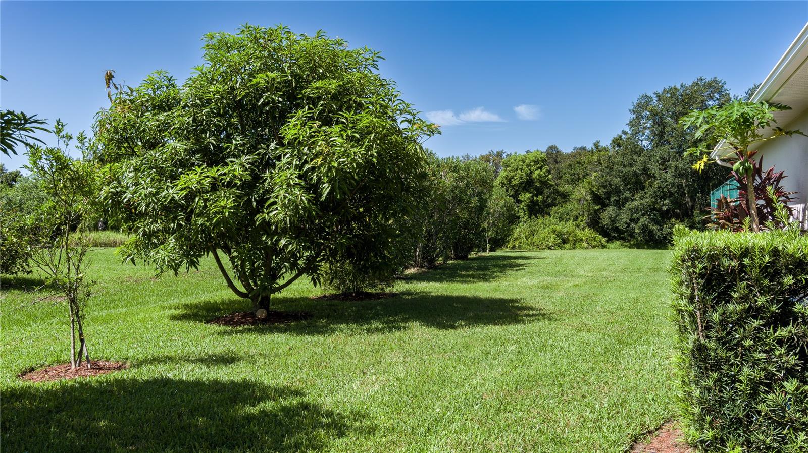 17809 Howling Wolf Run