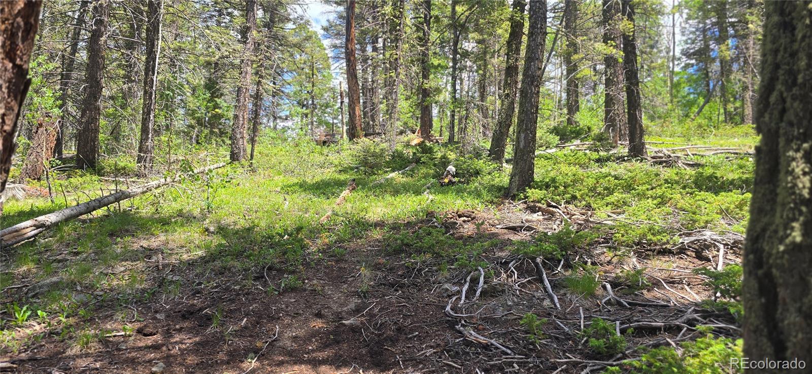 Lot 5778 Balleroy Road