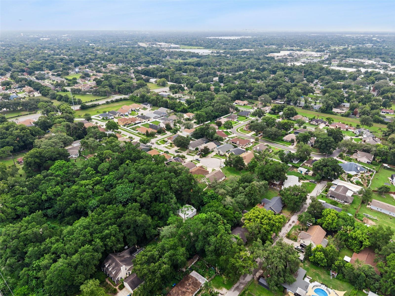 2019 Golden Ivy Way