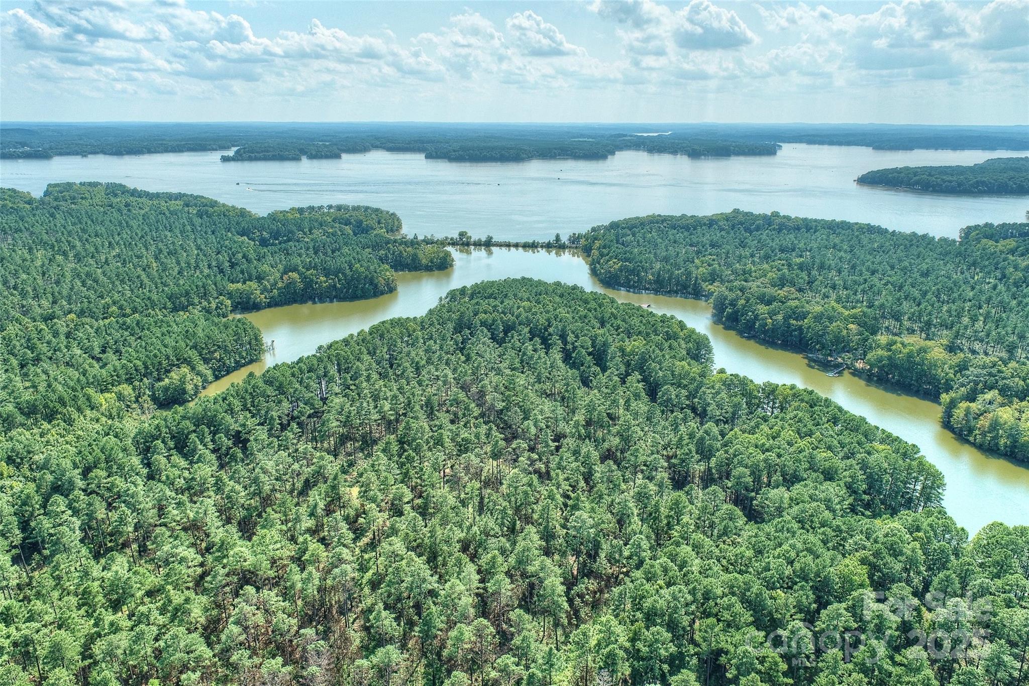 Discover a rare opportunity to own 434.5 acres of pristine LAKEFRONT land in the growing city of Lexington in Davidson county. Located just an hour from Charlotte and in within Piedmont Triad, this expansive parcel promises a blend of natural beauty and convenient access to main axes of transport. Featuring over 13,000 feet of shoreline, the lots maximize privacy and capture the breathtaking views and direct access on the 2nd largest lake in North Carolina, High Rock. With ample acreage at your disposal, the possibilities for this land are as vast as the property itself. Create your dream estate, establish your business or develop a community and let the Lake nurture your needs. Brochure available on demand.